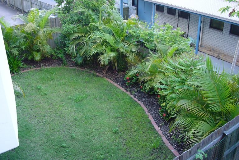 Common Garden